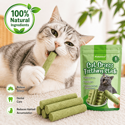 Frolunora® Cat Grass Teething Sticks 😺 upsell