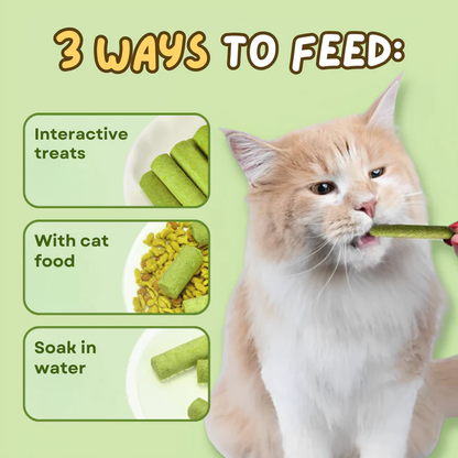 Frolunora® Cat Grass Teething Sticks 😺 upsell