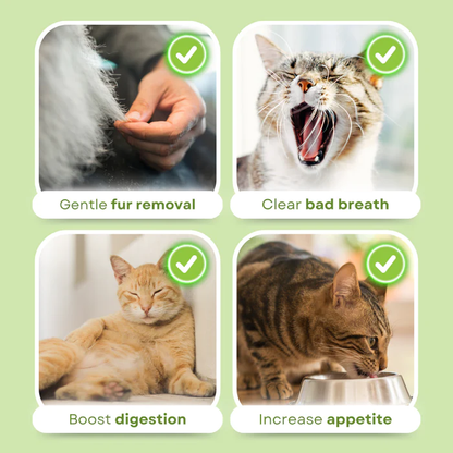 Frolunora® Cat Grass Teething Sticks 😺 upsell