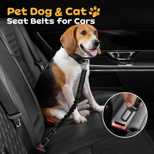 🐾 Tired of unsafe, uncomfortable pet car restraints? This seat belt changes everything upsell