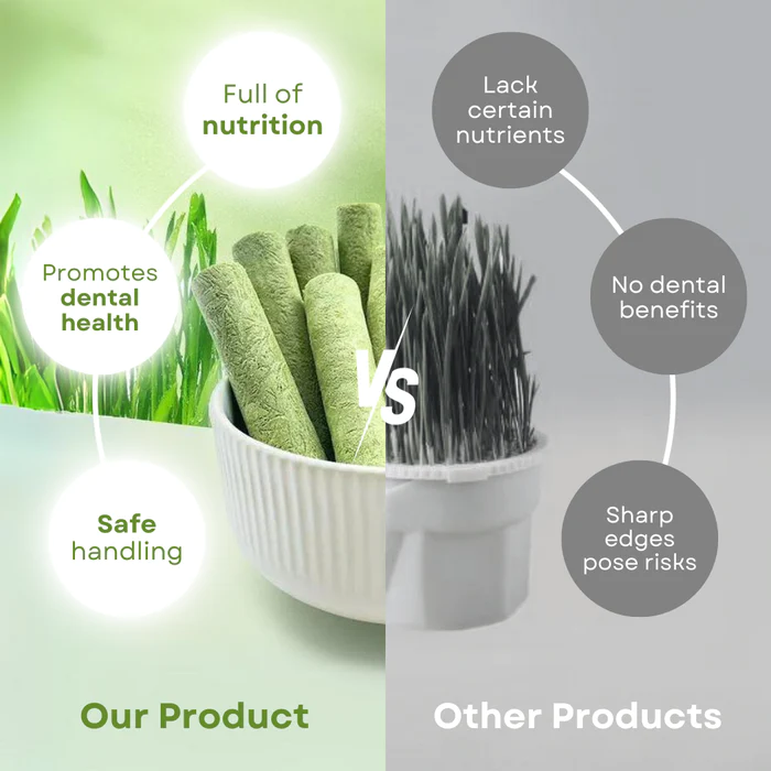 Frolunora® Cat Grass Teething Sticks 😺 upsell