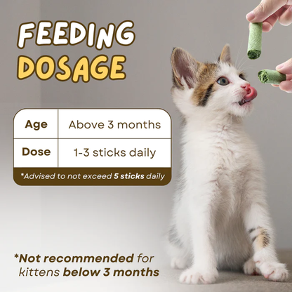 Frolunora® Cat Grass Teething Sticks 😺 upsell