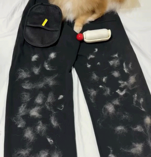 Reusable Pet Hair Remover Mitt – Professional Magic Brush for Furniture, Couch, and Clothing upsell