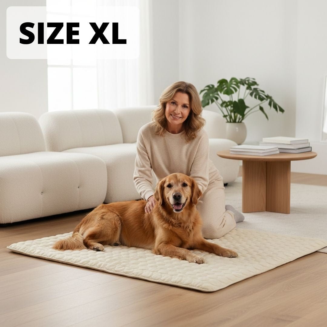 Cooling Dog Mat