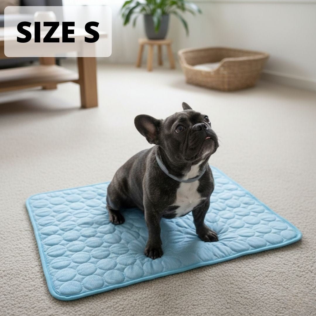 Cooling Dog Mat