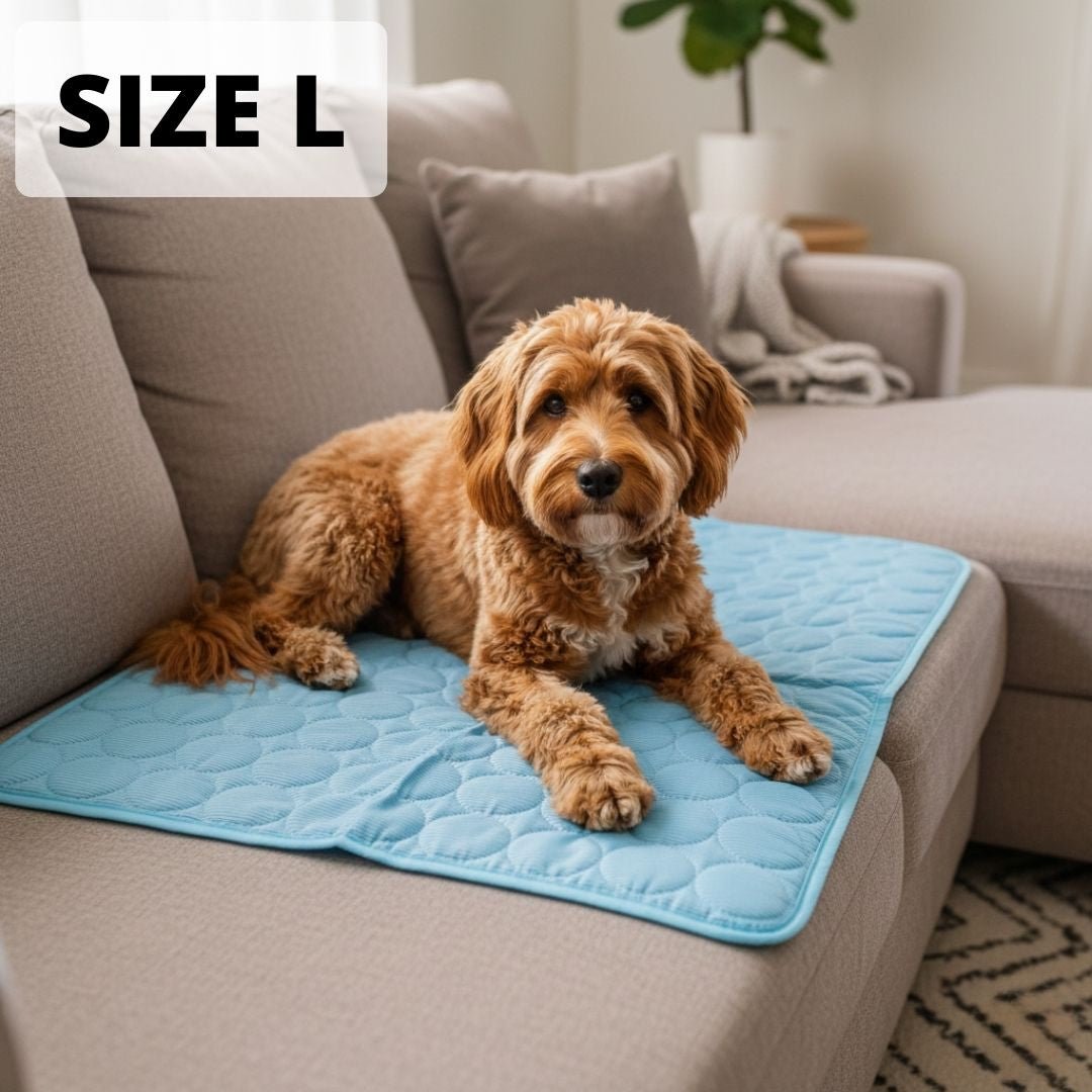 Cooling Dog Mat