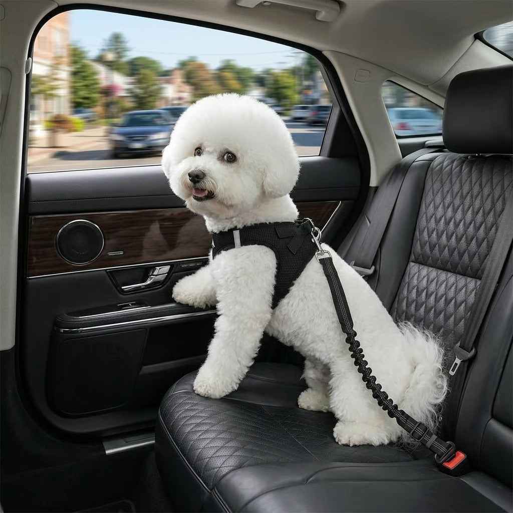 🐾 Tired of unsafe, uncomfortable pet car restraints? This seat belt changes everything upsell