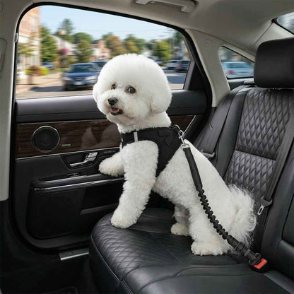 🐾 Tired of unsafe, uncomfortable pet car restraints? This seat belt changes everything upsell