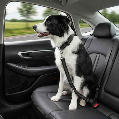 🐾 Tired of unsafe, uncomfortable pet car restraints? This seat belt changes everything upsell