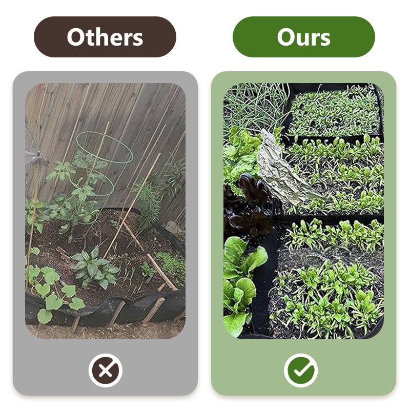 🌱 Divided Fabric Grow Bags — One Bag, Eight Plants, Zero Root Tangles